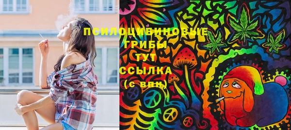 соль курить ск Вязьма
