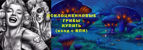 СК Вяземский