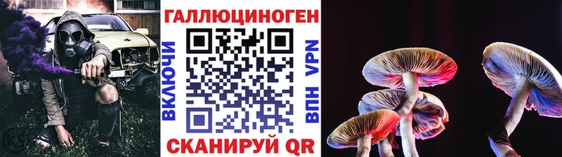 Купить где Бобров Псилоцибиновые грибы Magic Shrooms